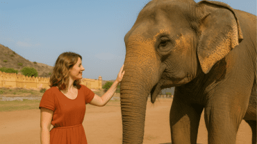 Jaipur: Elephant Interaction Tour