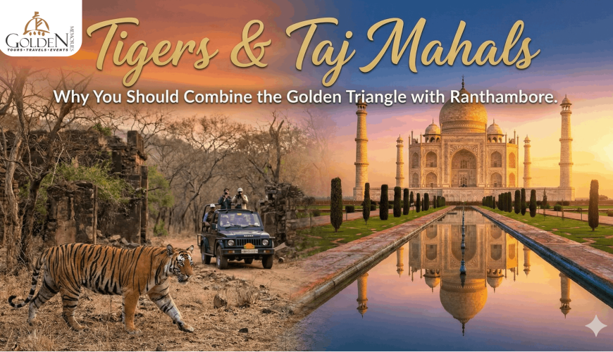 Tigers & Taj Mahals: Why You Should Combine the Golden Triangle with Ranthambore